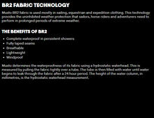 Load image into Gallery viewer, Musto Men's BR2 Offshore 2.0 Sailing Jacket (Gold)