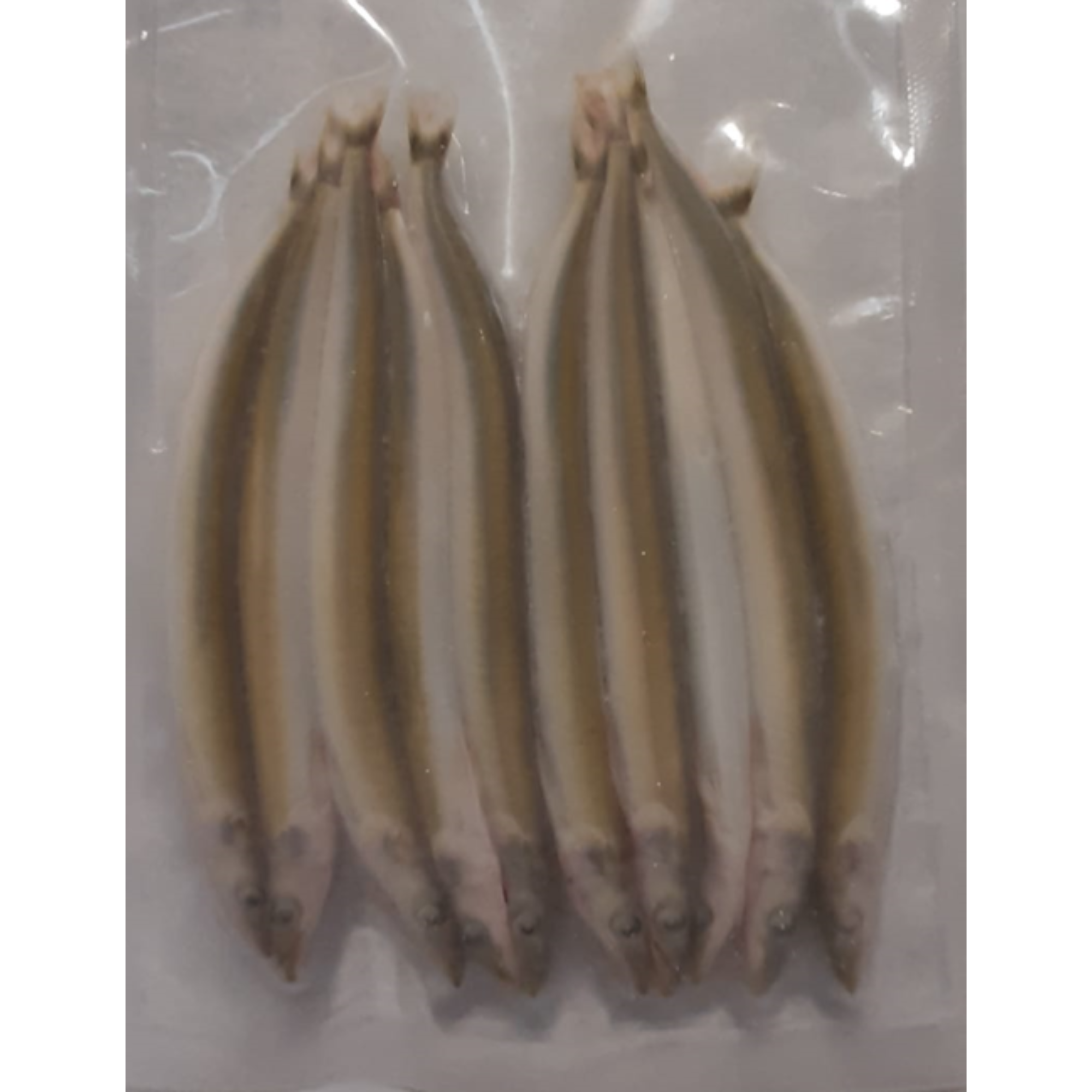Frozen Bait - Medium Sandeels