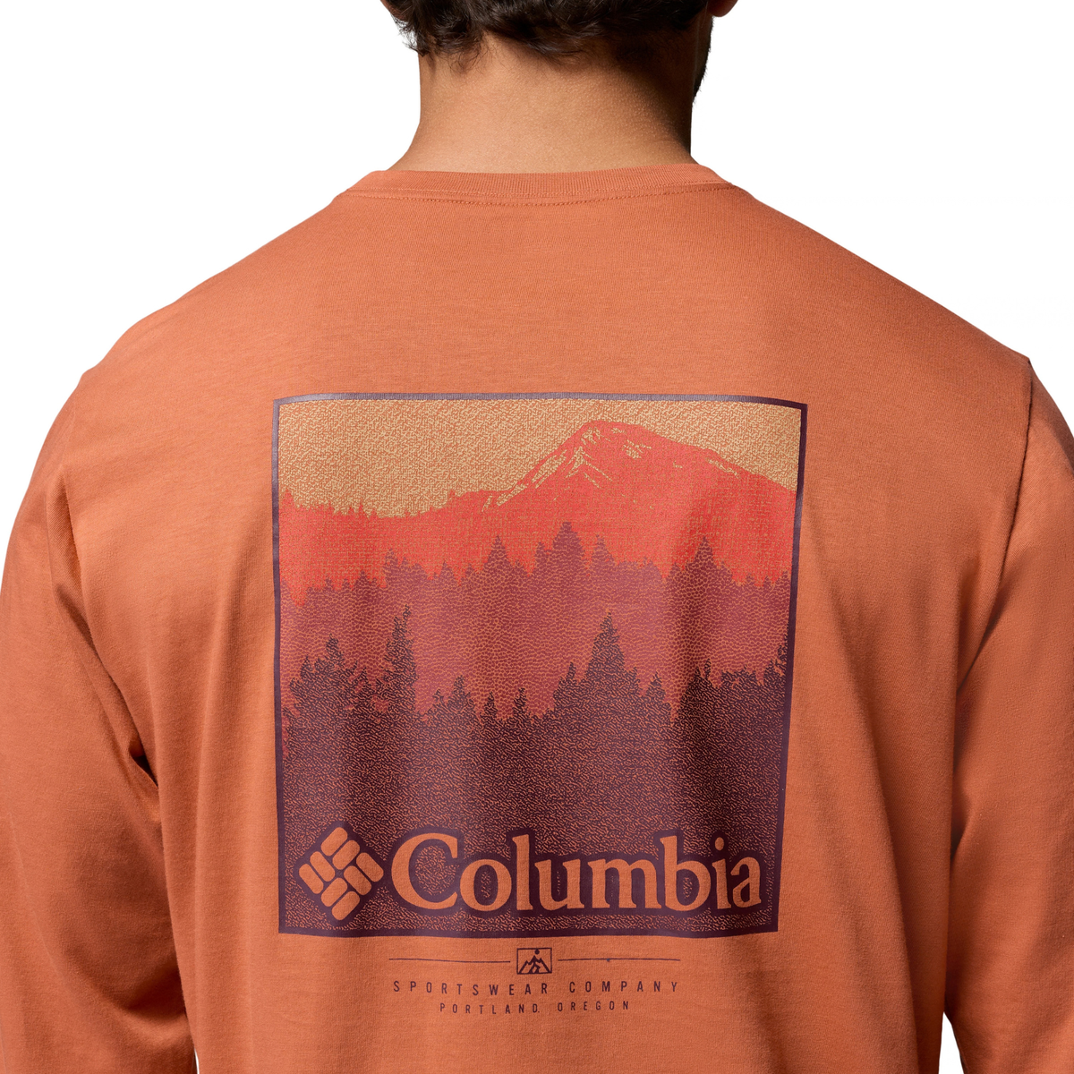Columbia Men's CSC Graphic 100% Organic Cotton Long Sleeve Tee Teak Brown Textured Scene 235 2174131
