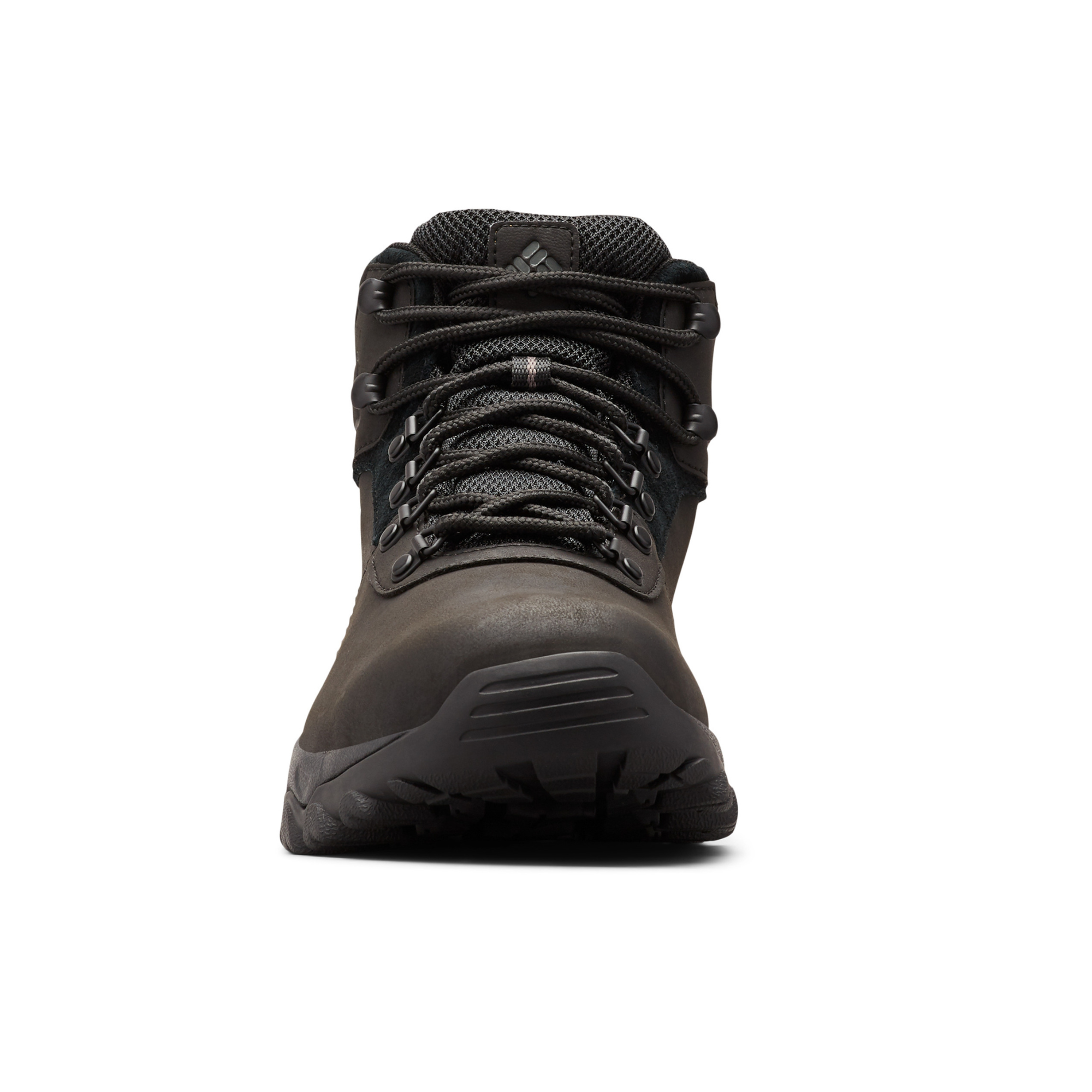 Columbia Men's Newton Ridge Plus II Waterproof Trail Boots (Black)