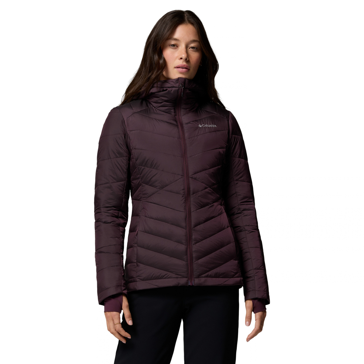 Columbia Women's Joy Peak II Hooded Insulated Jacket (Moonvista Shine)
