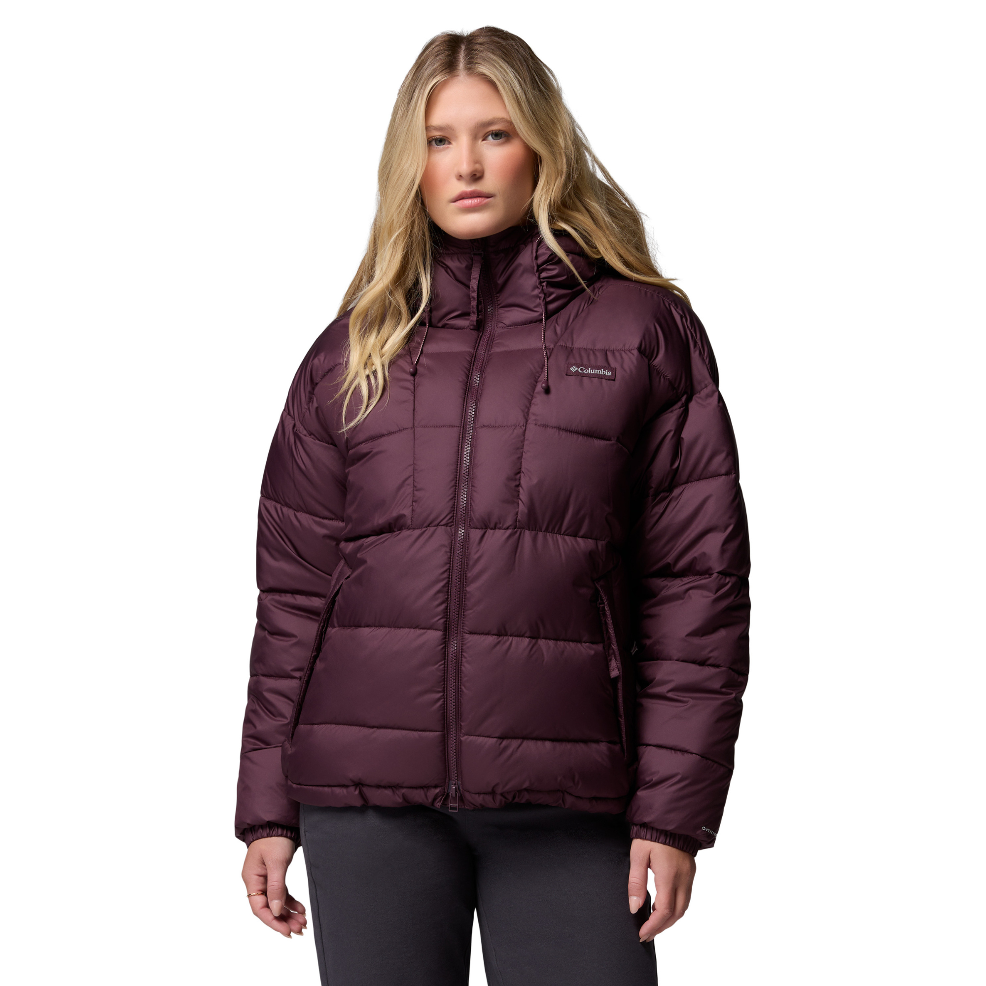 Columbia Women's Pike Lake III Hooded Insulated Jacket Moonvista 607 2133563