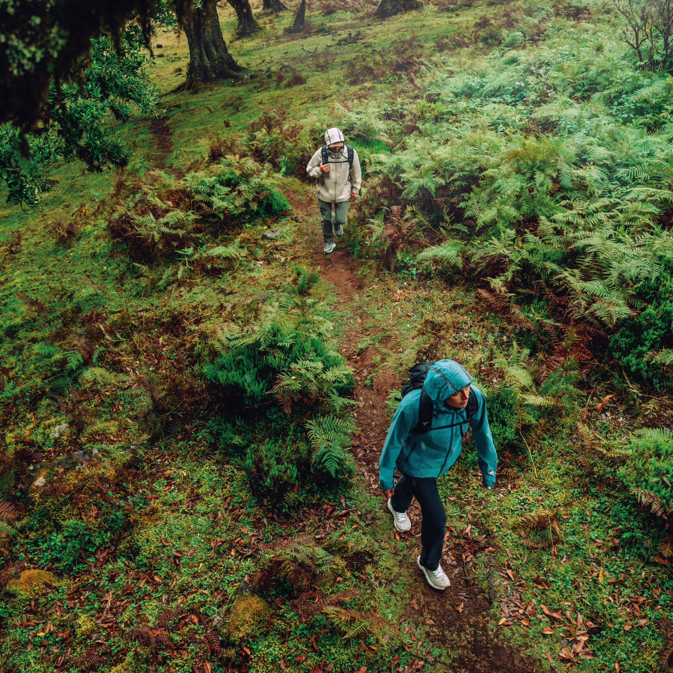 Two hikers on a trail in a lush green forest. Woman wearing Columbia Women's Reign No Shine Outdry Extreme Waterproof Jacket River Blue 364 2116293