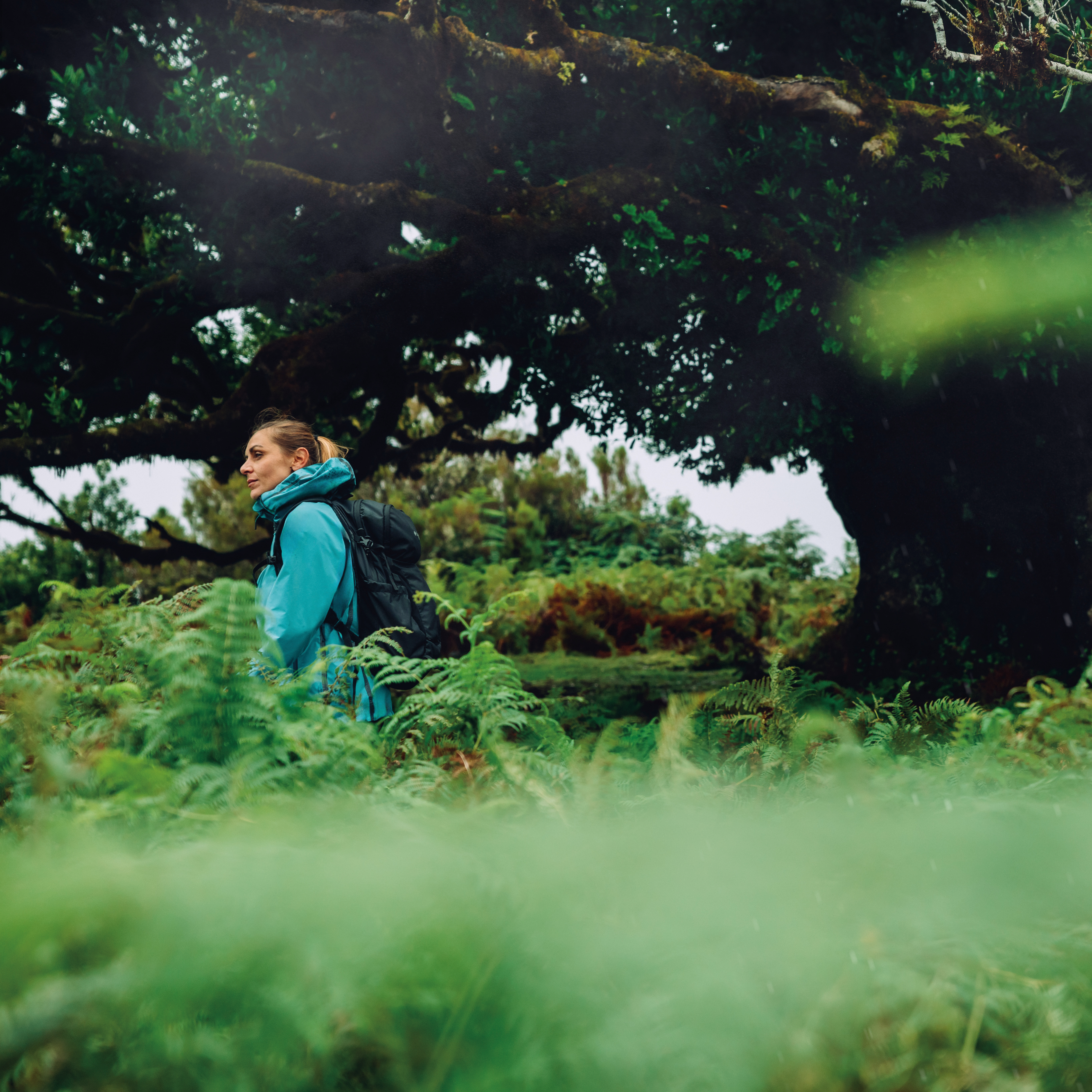 A woman hiking wearing Columbia Women's Reign No Shine Outdry Extreme Waterproof Jacket River Blue 364 2116293, in a forested area with dense greenery.