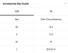 Load image into Gallery viewer, Dare 2B Women's Acute Insulated Ski Gloves (Black)