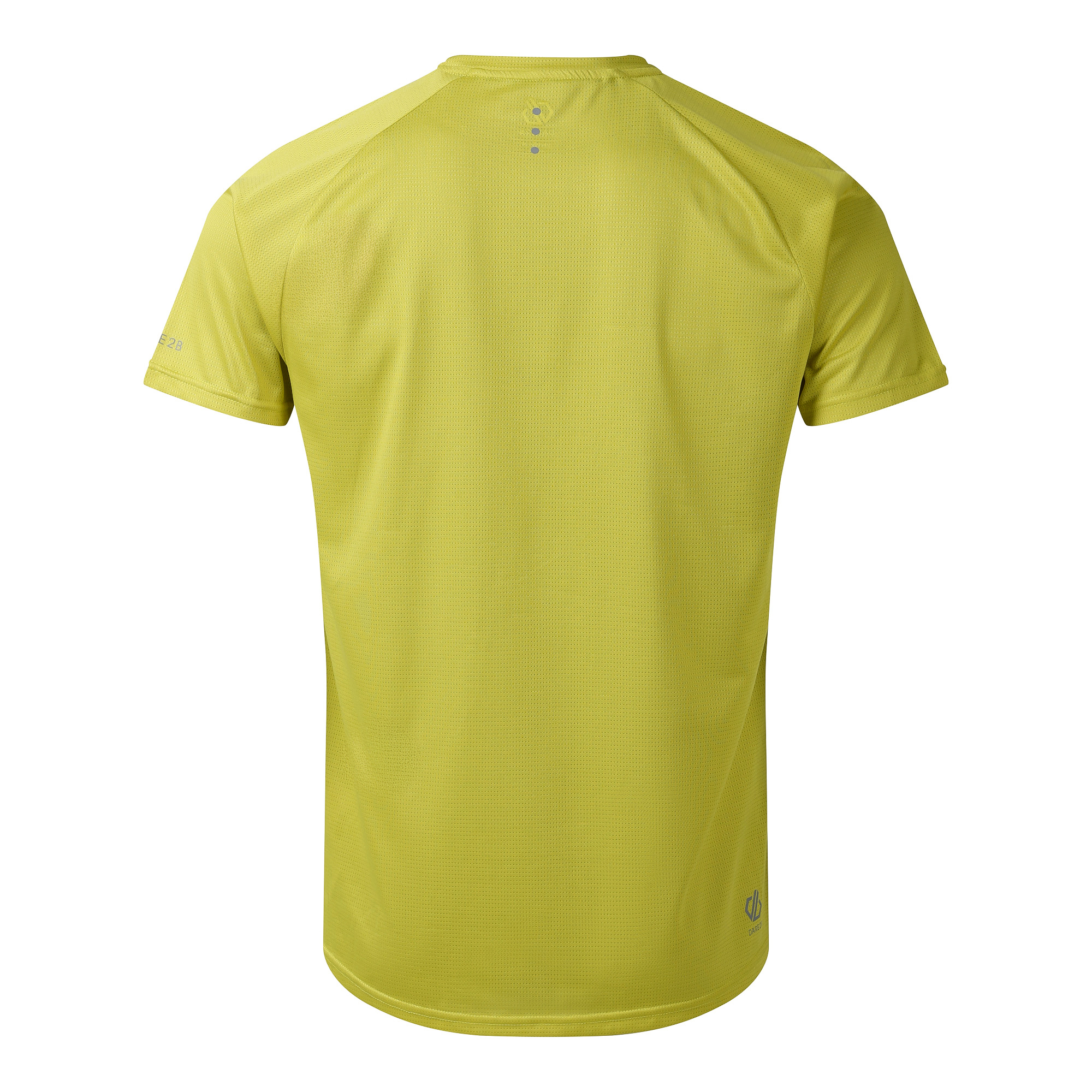 Dare 2B Men's Accelerate Short Sleeve Technical Tee (Fragile Sprout)