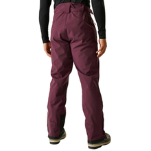 Load image into Gallery viewer, Dare 2B Men's Achieve II Waterproof Ski Trousers (Fig)