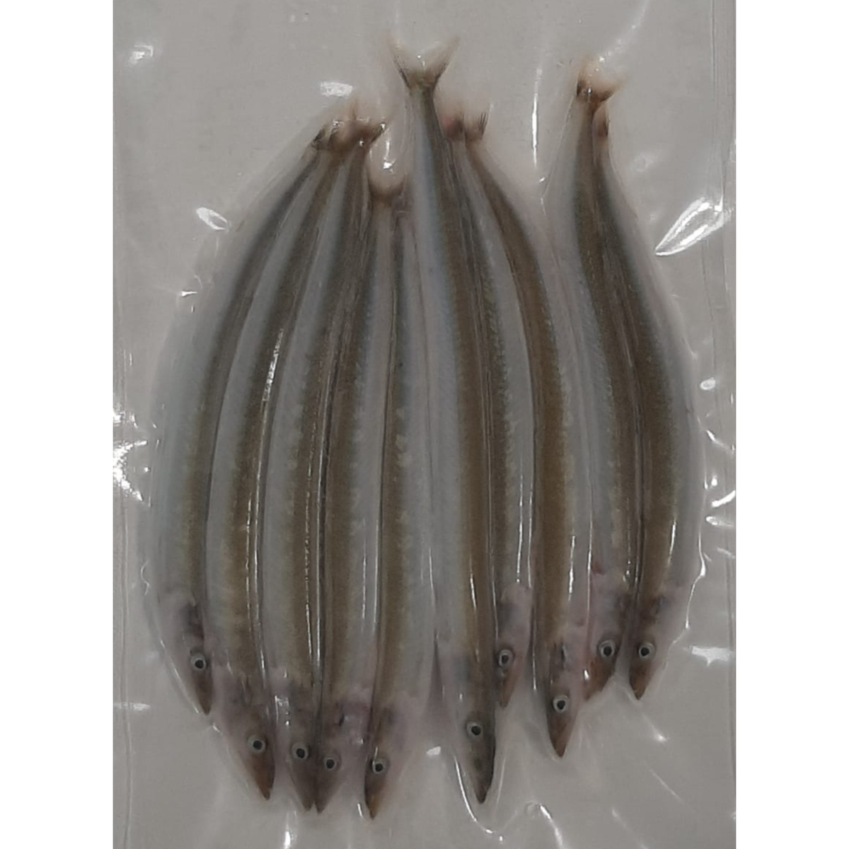 Frozen Bait Fishing Sandeels Large