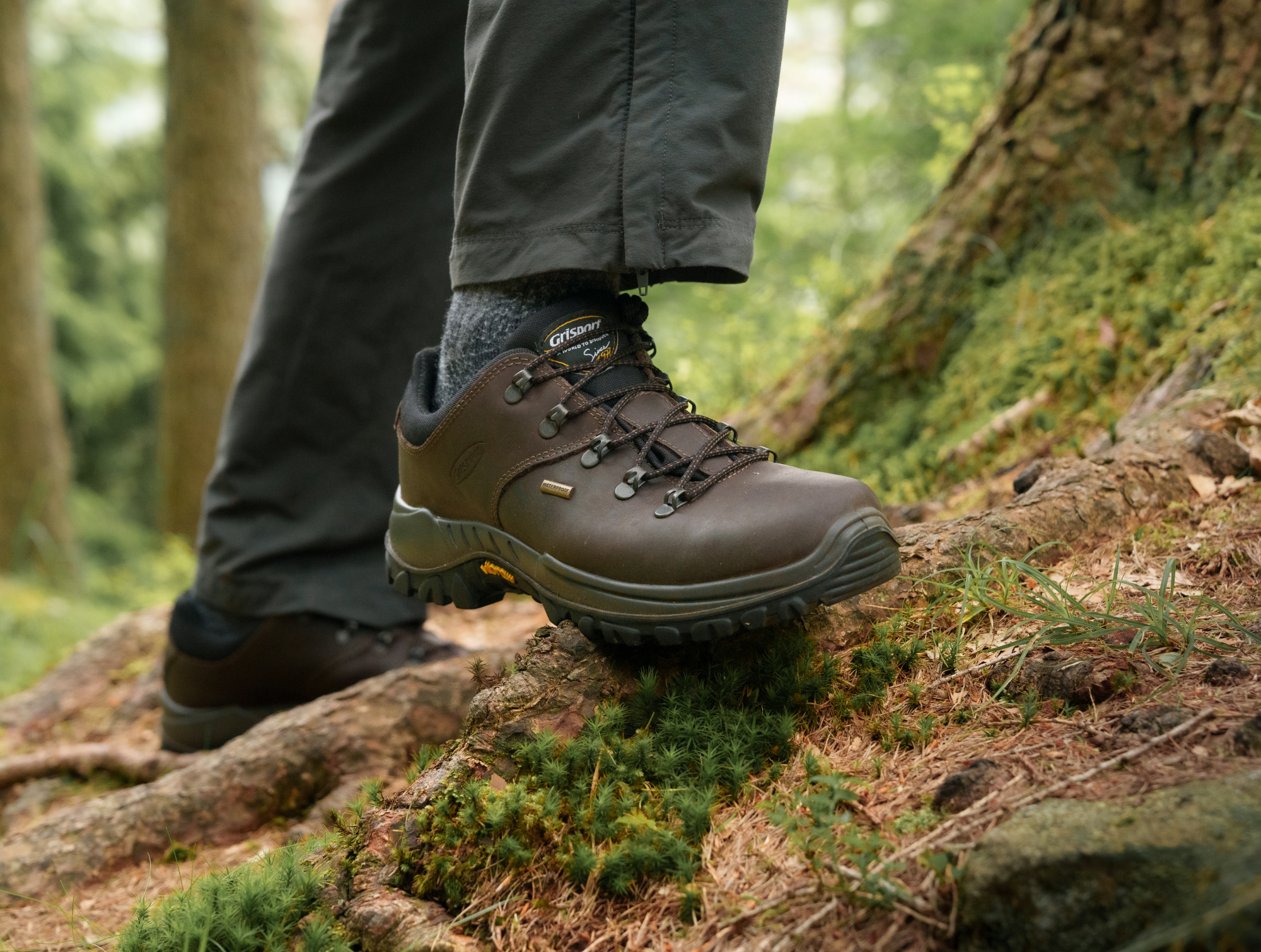 Grisport Men's Dartmoor Waterproof Walking Shoes (Brown)