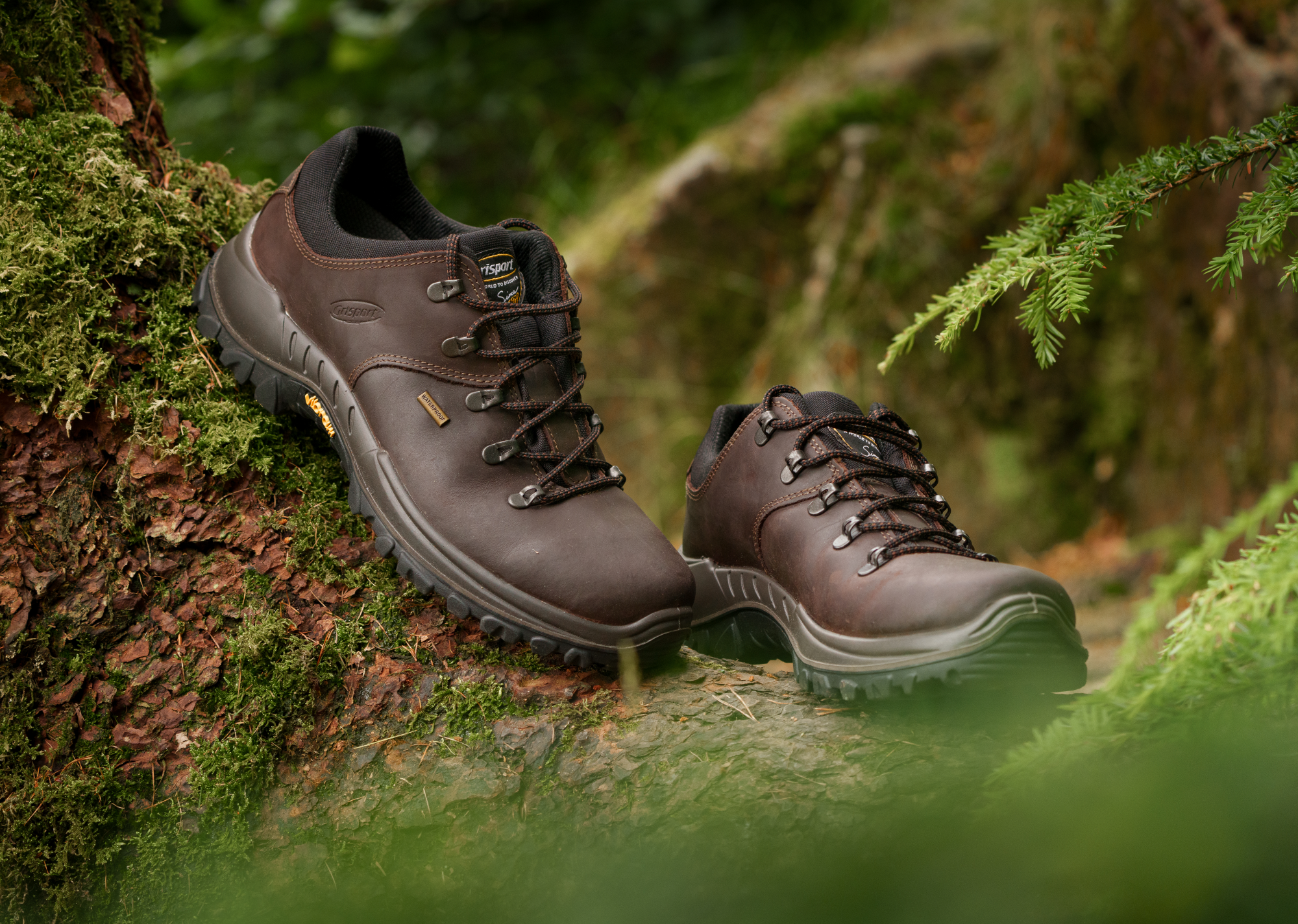 Grisport Men's Dartmoor Waterproof Walking Shoes (Brown)