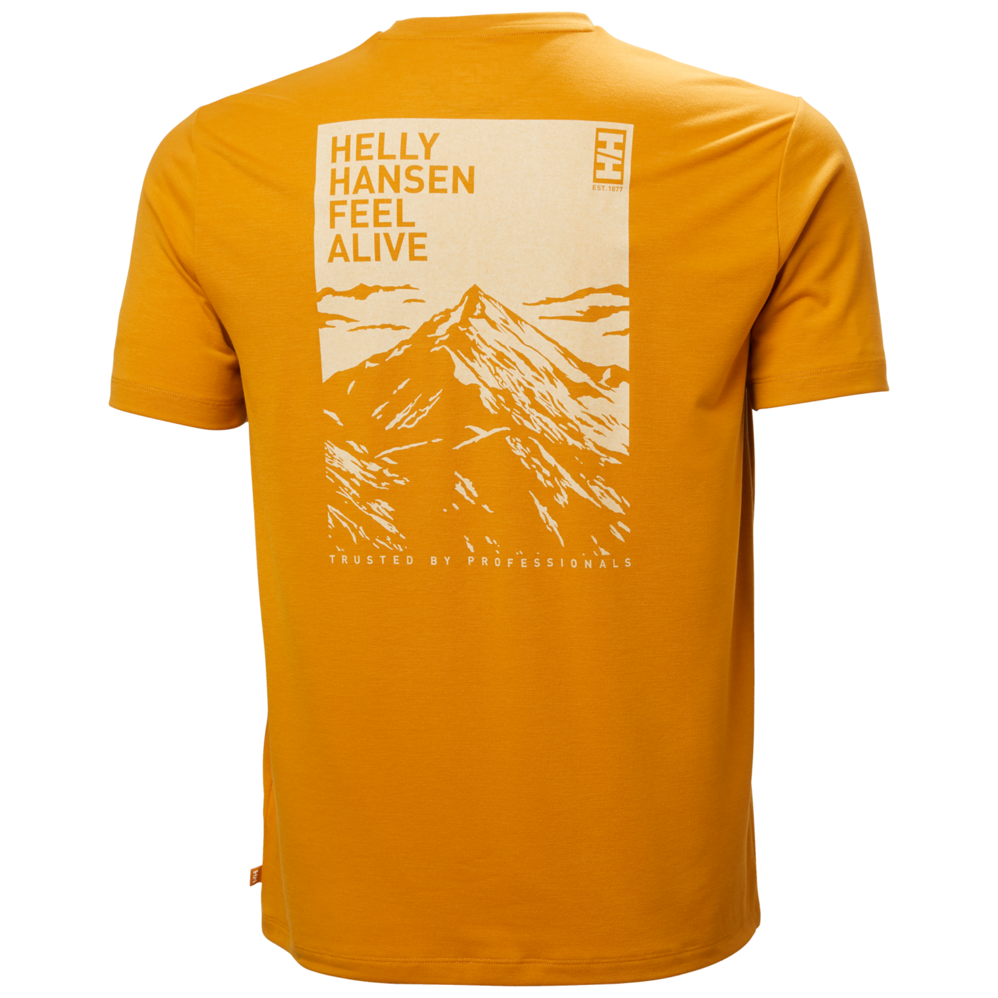 Helly Hansen Men's Skog UPF50 Recycled Graphic Short Sleeve Tee (Mustard)