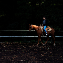 Load image into Gallery viewer, Ledlenser H8R Rechargeable Headlamp (Black)