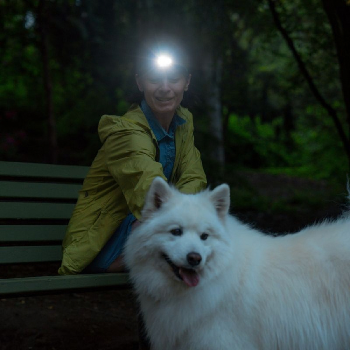 A person wearing a Ledlenser HF4R CORE Rechargeable Headlamp Black 502790 sits on a bench in a dark outdoor setting, smiling behind a fluffy white dog. The person is wearing a yellow-green rain jacket over a blue shirt.