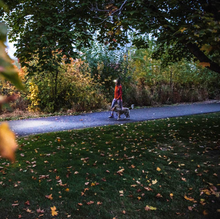 Load image into Gallery viewer, Ledlenser HF4R CORE Rechargeable Headlamp (Blue)