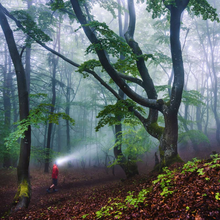 Load image into Gallery viewer, Ledlenser HF8R CORE Rechargeable Headlamp (Black)