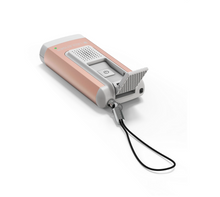 Load image into Gallery viewer, Ledlenser K6R Safety Rechargable LED Keyring Torch (Rose Gold)