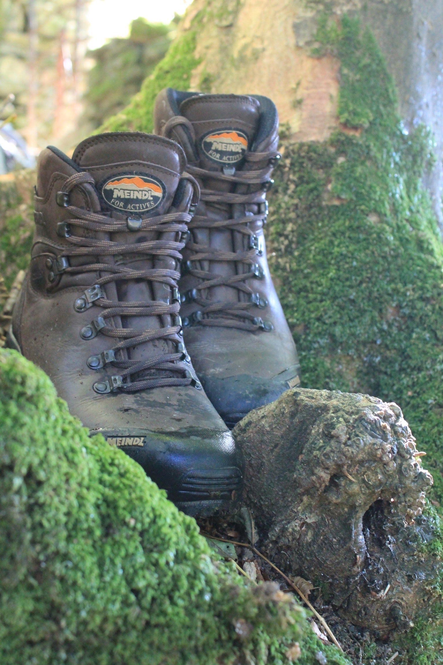 Meindl Men's Kansas Gore-Tex Hillwalking Boots (Old Loden)