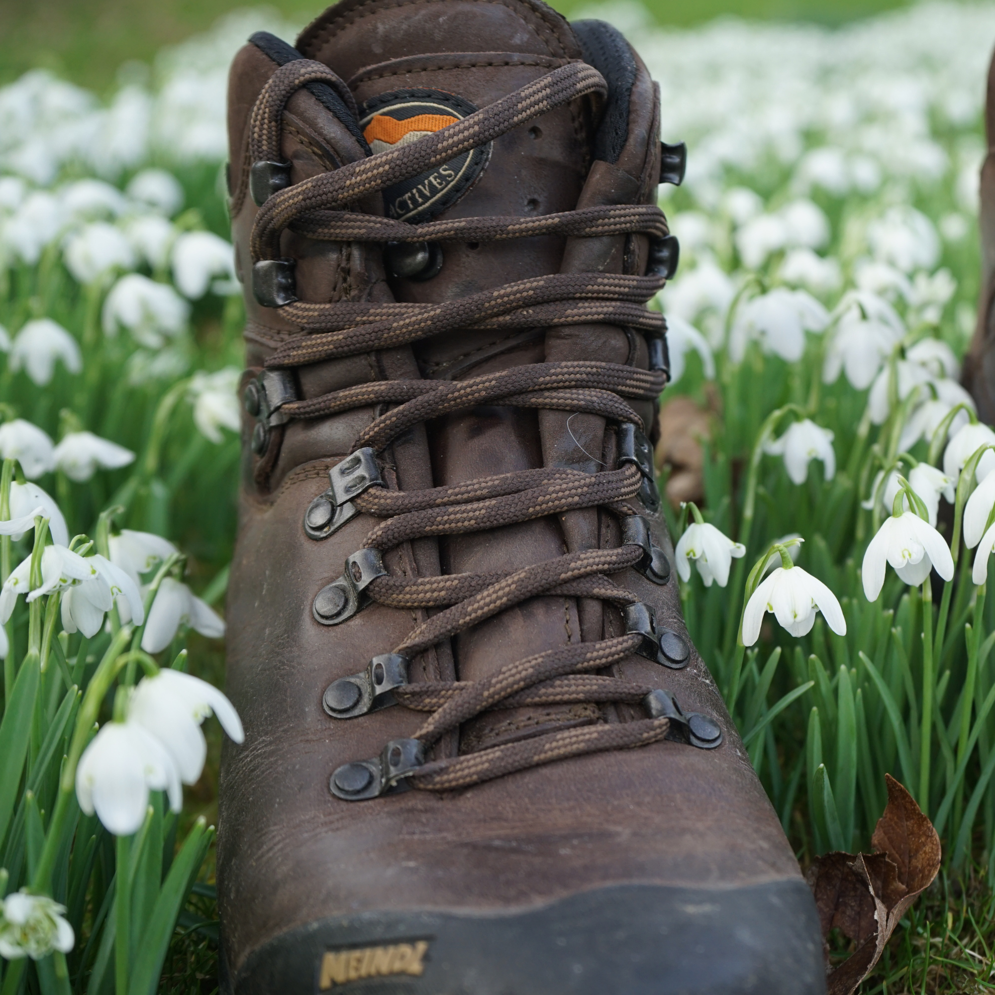 Meindl Men's Kansas Gore-Tex Hillwalking Boots (Old Loden)
