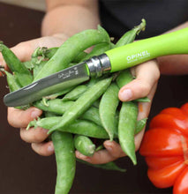 Load image into Gallery viewer, My First Opinel Kids #7 Stainless Steel Round Ended Knife (Apple)
