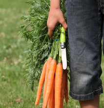 Load image into Gallery viewer, My First Opinel Kids #7 Stainless Steel Round Ended Knife (Apple)