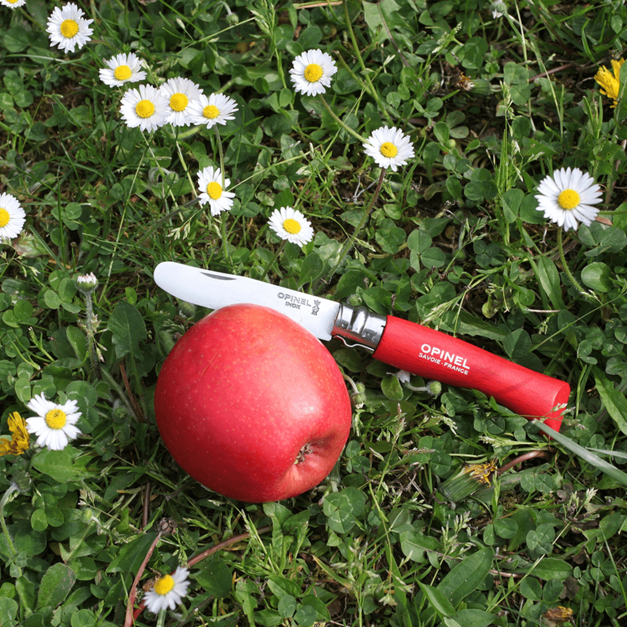 My First Opinel Kids #7 Stainless Steel Round Ended Knife (Red)