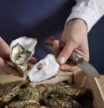 Load image into Gallery viewer, Opinel #9 Oysters & Shellfish Knife