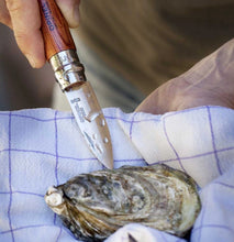 Load image into Gallery viewer, Opinel #9 Oysters &amp; Shellfish Knife
