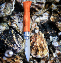 Load image into Gallery viewer, Opinel #9 Oysters &amp; Shellfish Knife

