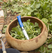 Load image into Gallery viewer, My First Opinel Kids #7 Stainless Steel Round Ended Knife (Blue)