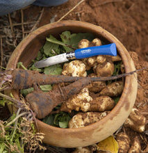 Load image into Gallery viewer, My First Opinel Kids #7 Stainless Steel Round Ended Knife (Blue)