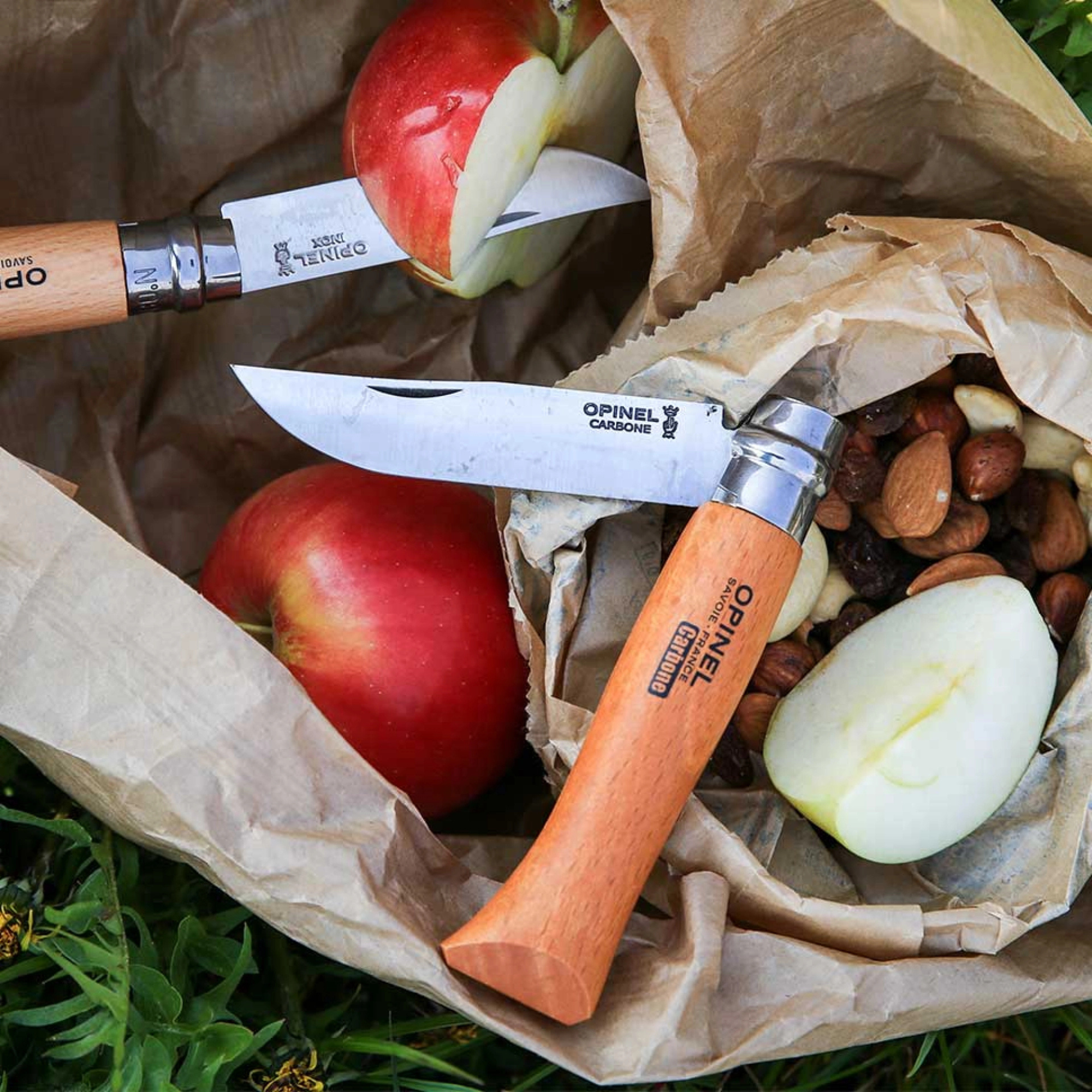 Opinel #10 Carbon Blade Folding Pocket Knife (Blister Packed)