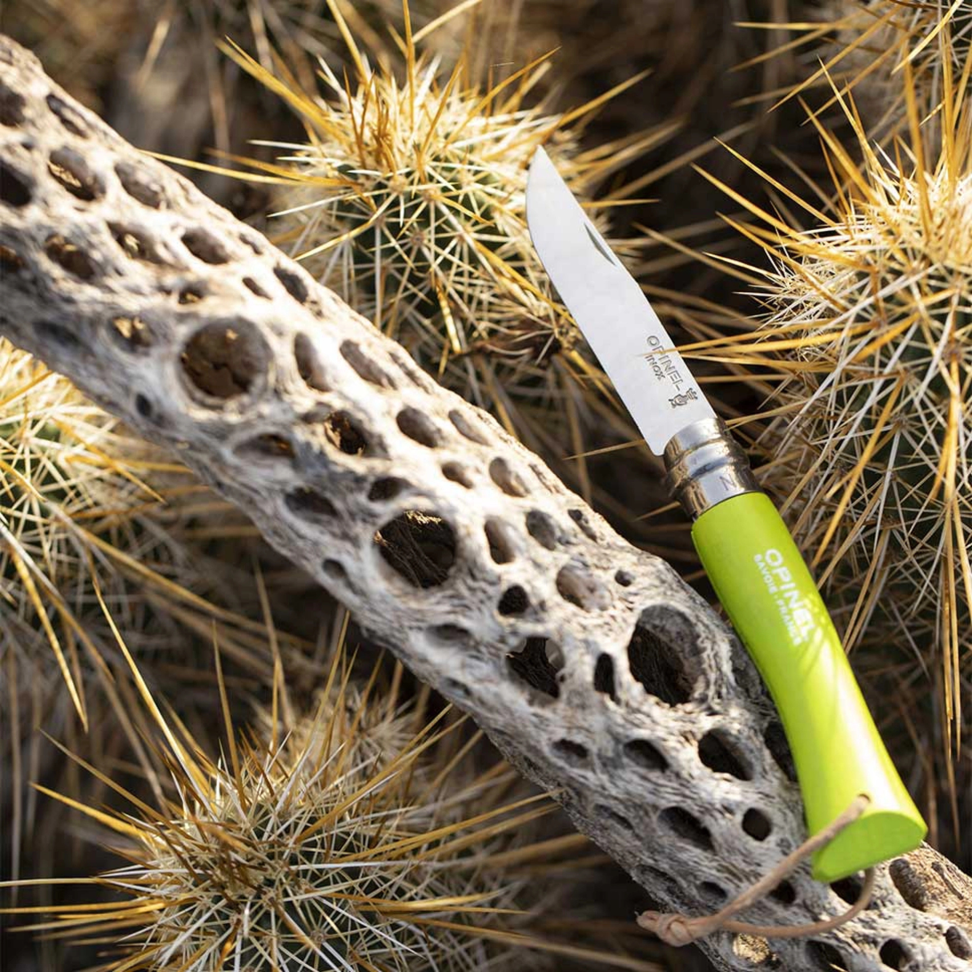 Opinel #7 Stainless Steel Bushwhacker Trekking Folding Pocket Knife (Aniseed)
