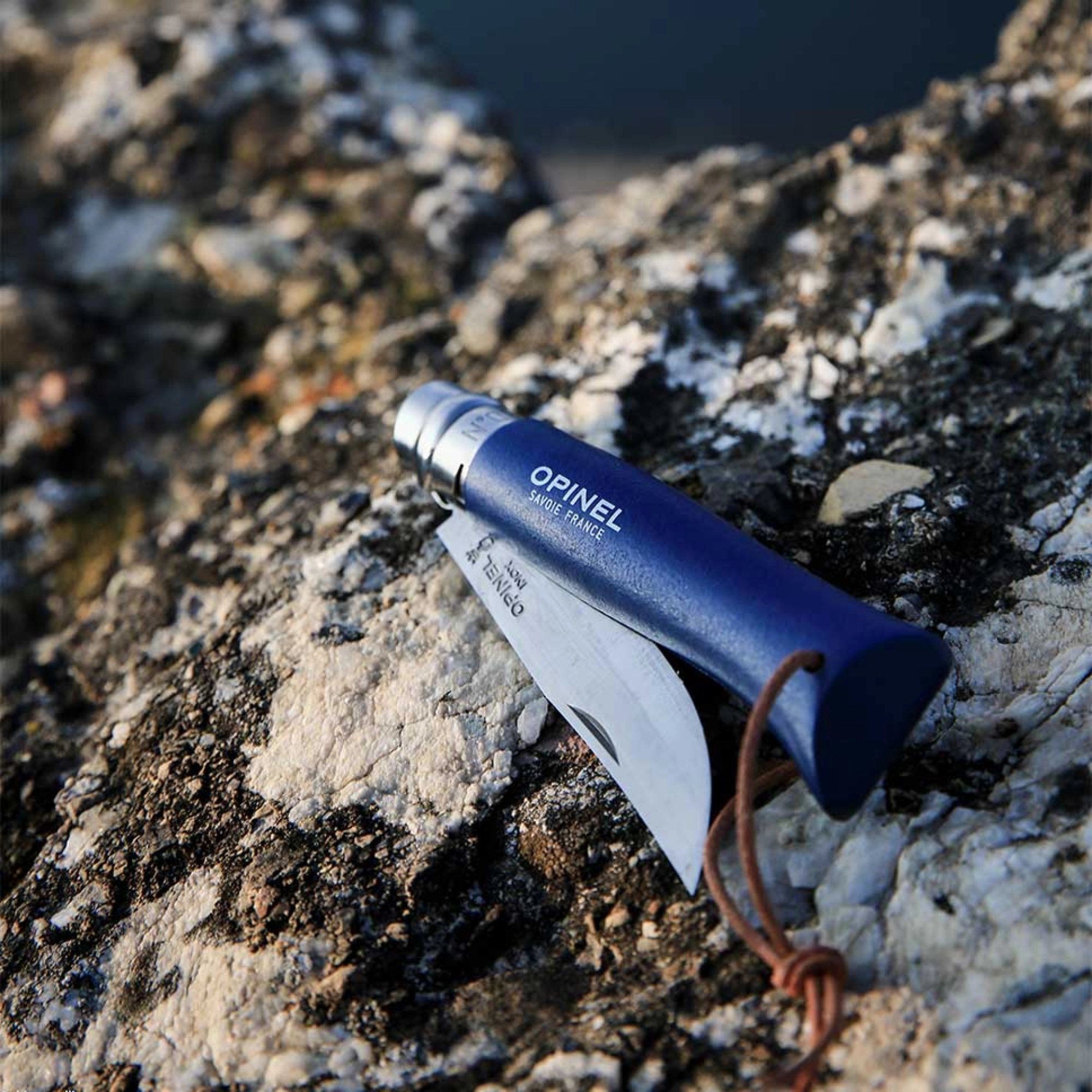 Opinel #8 Stainless Steel Bushwhacker Trekking Folding Pocket Knife (Dark Blue)
