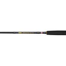 Load image into Gallery viewer, Penn 8ft/2.44m Wrath II 2 Section Spinning Rod (15-40g)