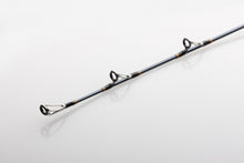 Load image into Gallery viewer, Penn 6ft4/1.93m Battalion Solid 1+1 Section Boat Casting Rod (20-30lb)