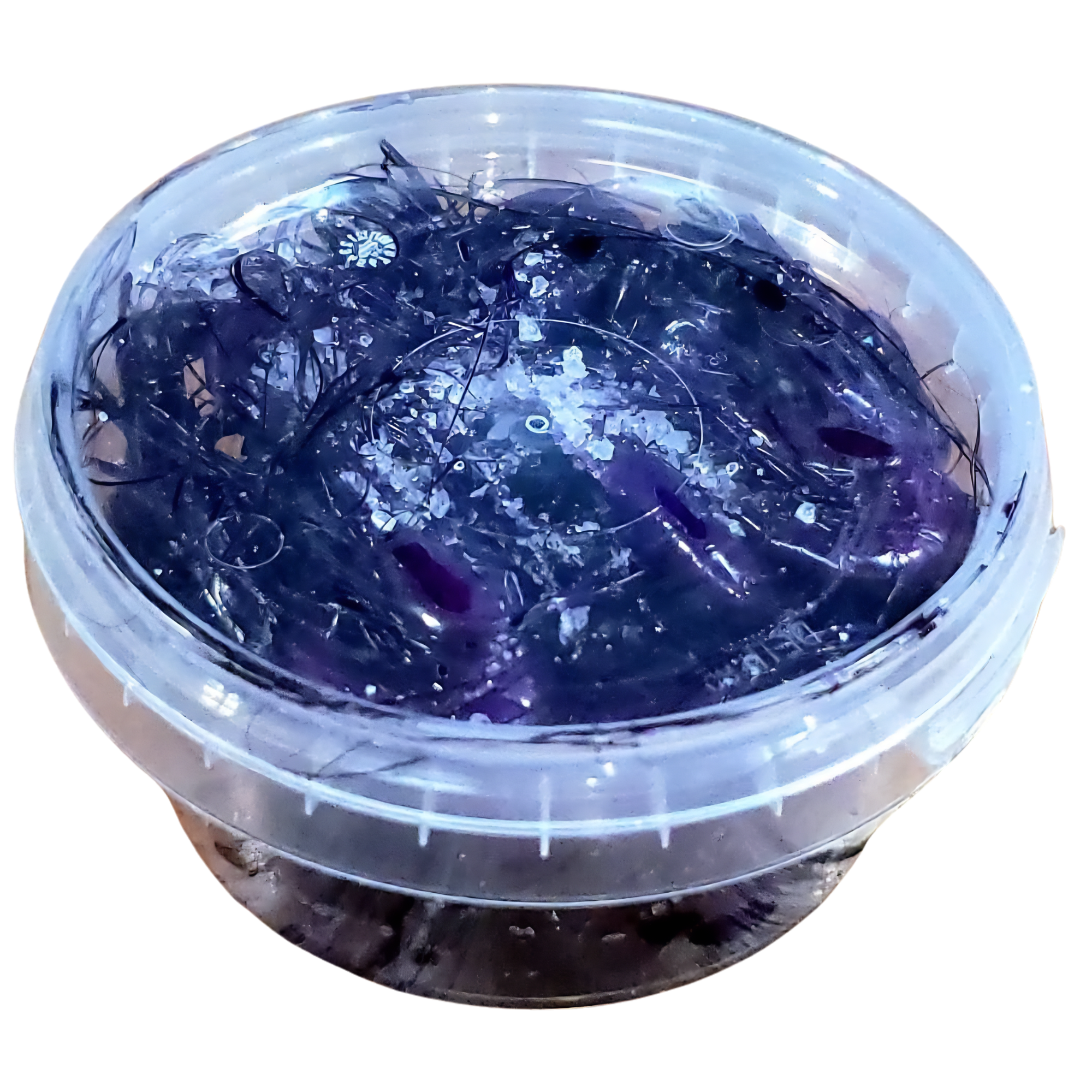 Preserved Shrimp (Purple)