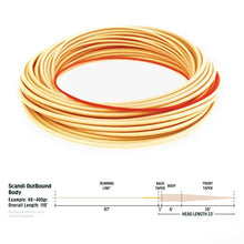 Load image into Gallery viewer, RIO Elite Scandi Outbound Body Fly Line (#8/Floating/115ft)(Straw)