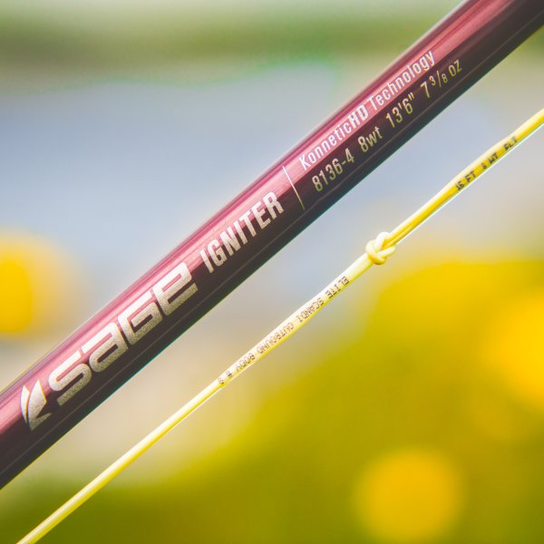 RIO Elite Scandi Outbound Body Line (#10/Floating/117ft)(Straw)