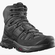 Load image into Gallery viewer, Salomon Men's Quest 4 Gore-Tex Hillwalking Boots (Magnet/Black/Quarry)