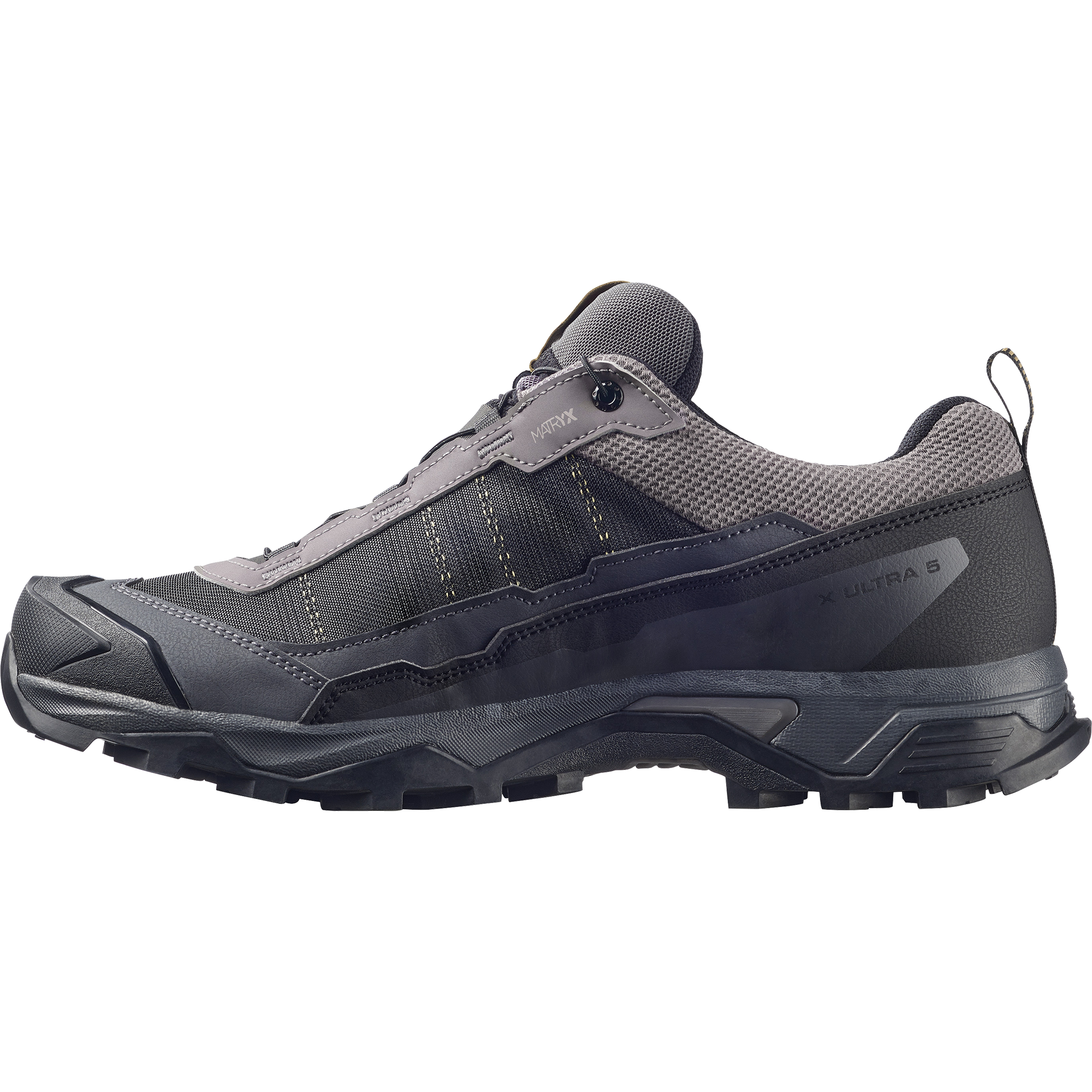Salomon Men's X Ultra 5 Gore-Tex Trail Shoes (Dark Gull Gray/Asphalt)