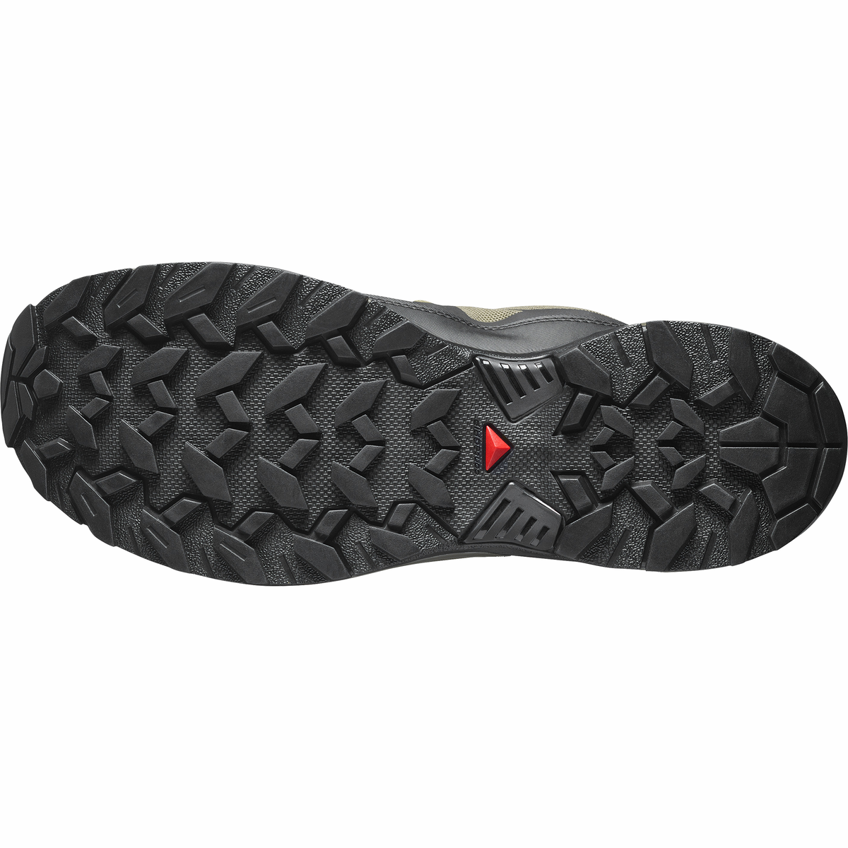 Salomon Men's X Ultra 360 Gore-Tex Trail Shoes (Olive Night/Black/Martini Olive)