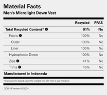 Load image into Gallery viewer, Rab Men's Microlight Down Body Warmer (Beluga)