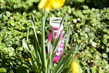 Load image into Gallery viewer, Sigg Kids Viva One Water Bottle (0.5L)(Hearts)