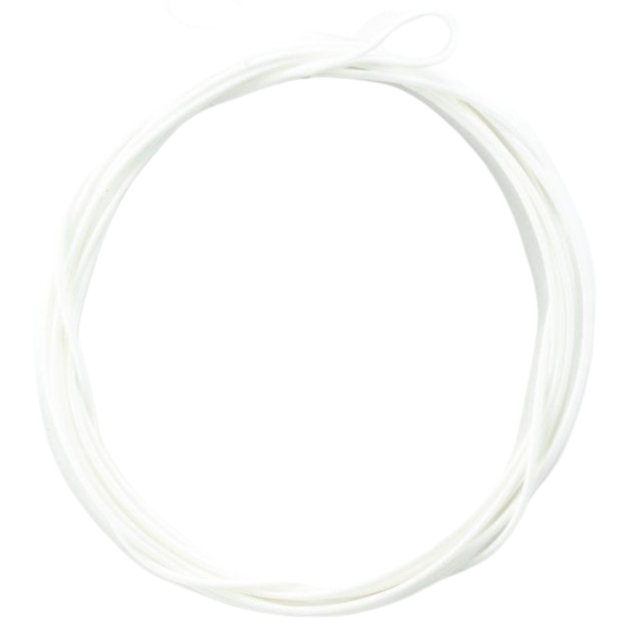 Snowbee Salomon Polyleader Floating Clear 10ft 0.0ips PCL10S-F AFP21