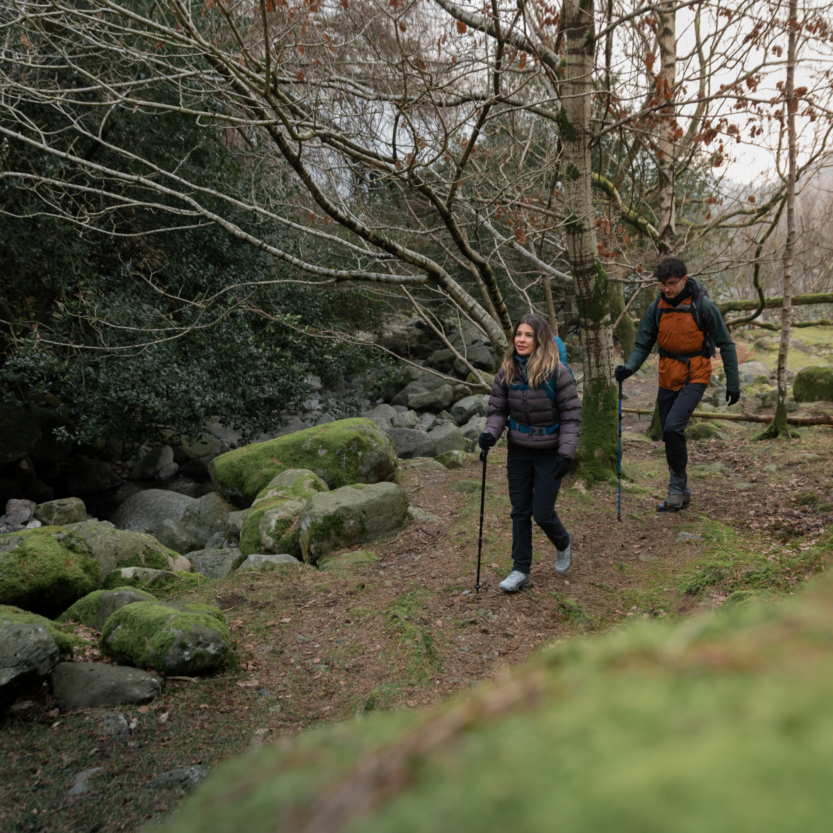 Two hikers walking on a trail through a forest with trees and rocks around. Woman using a Trekmates Hiker Shock Single Pole Black TM-008705
