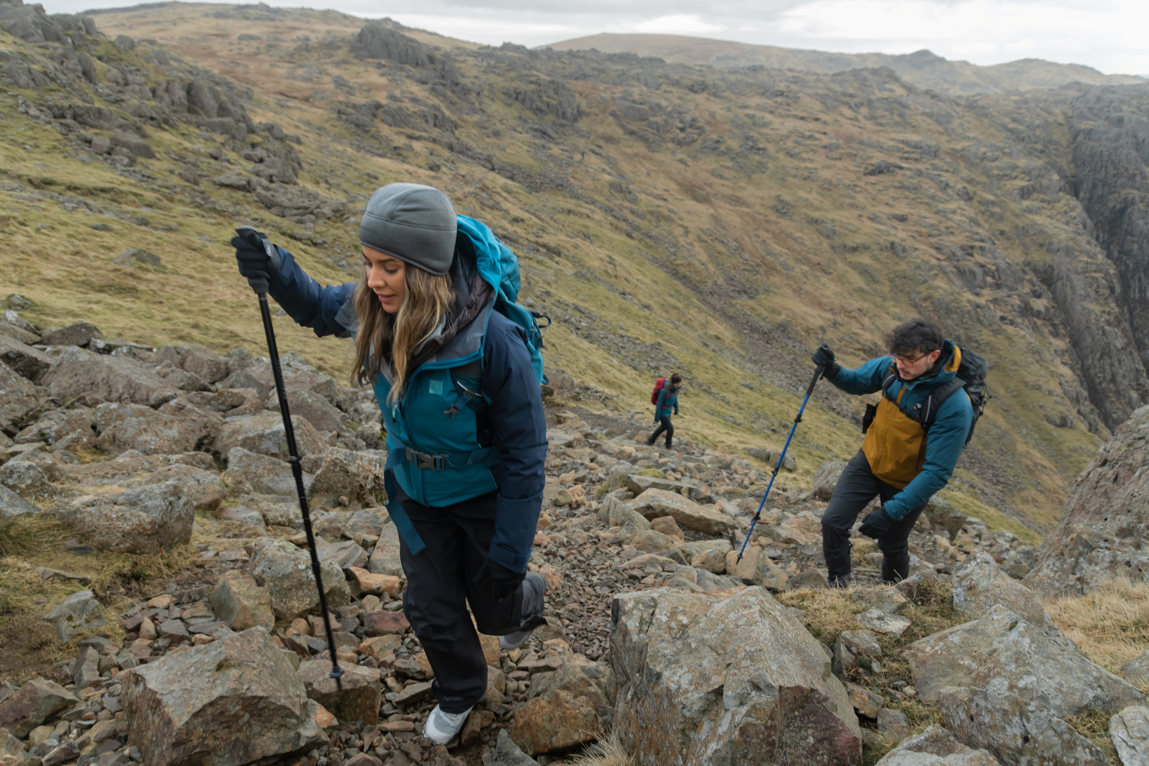 Trekmates Hiker Shock Single Pole (Black)