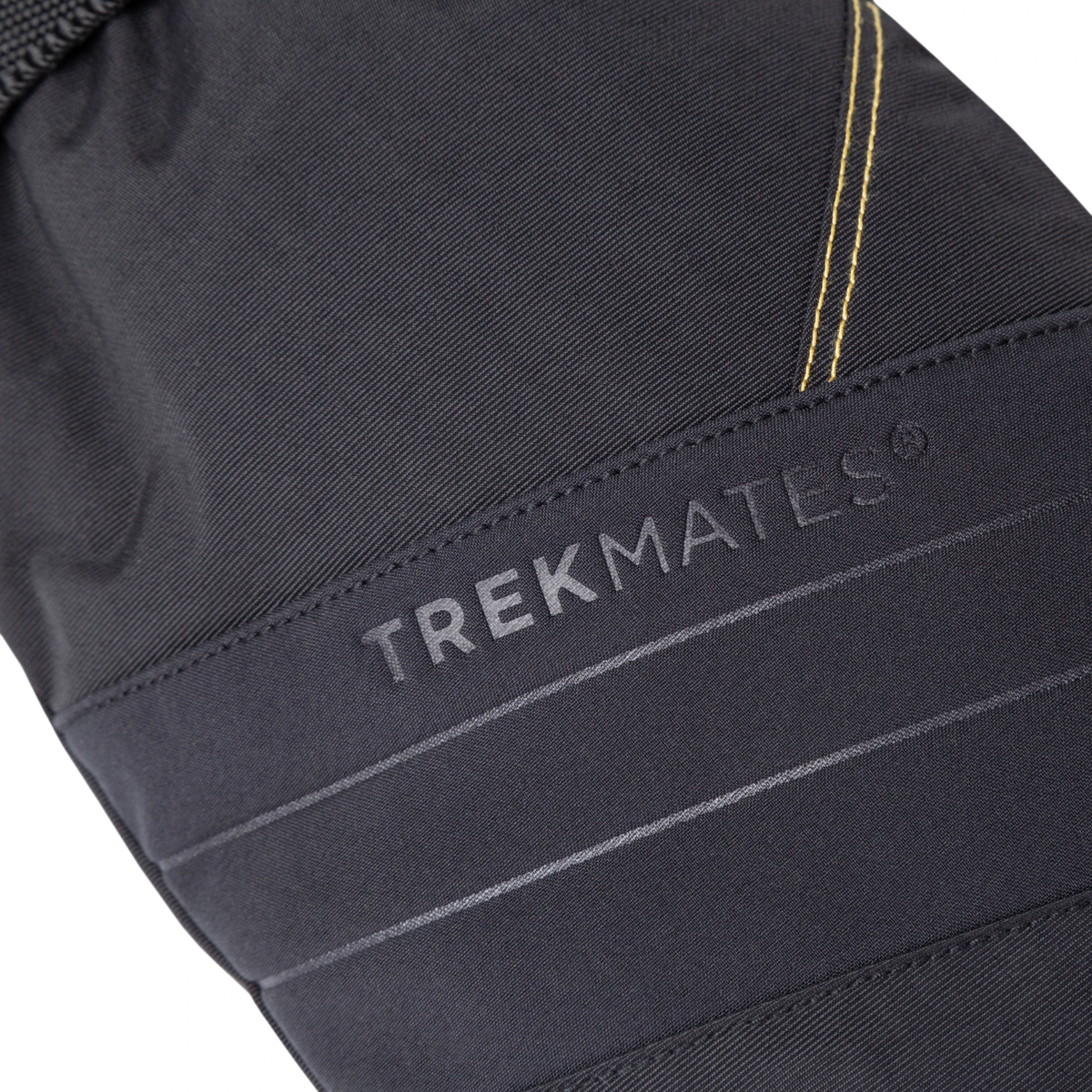 Trekmates Unisex Matterhorn Gore-Tex Insulated Mitts (Black)