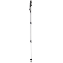 Load image into Gallery viewer, Trekmates Walker Lock Single Pole (Asphalt)