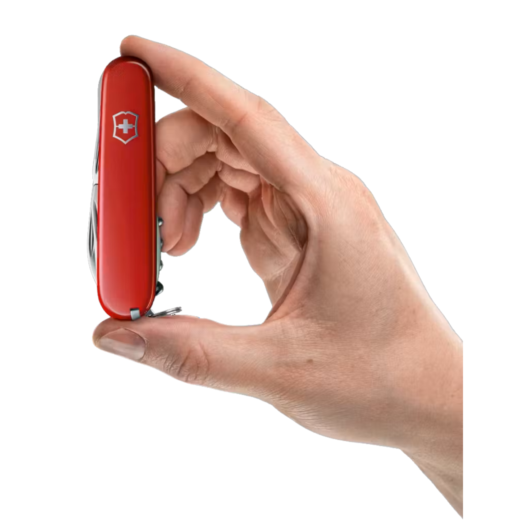 Victorinox Swiss Army Knife: Spartan (Red)(12 Tools)