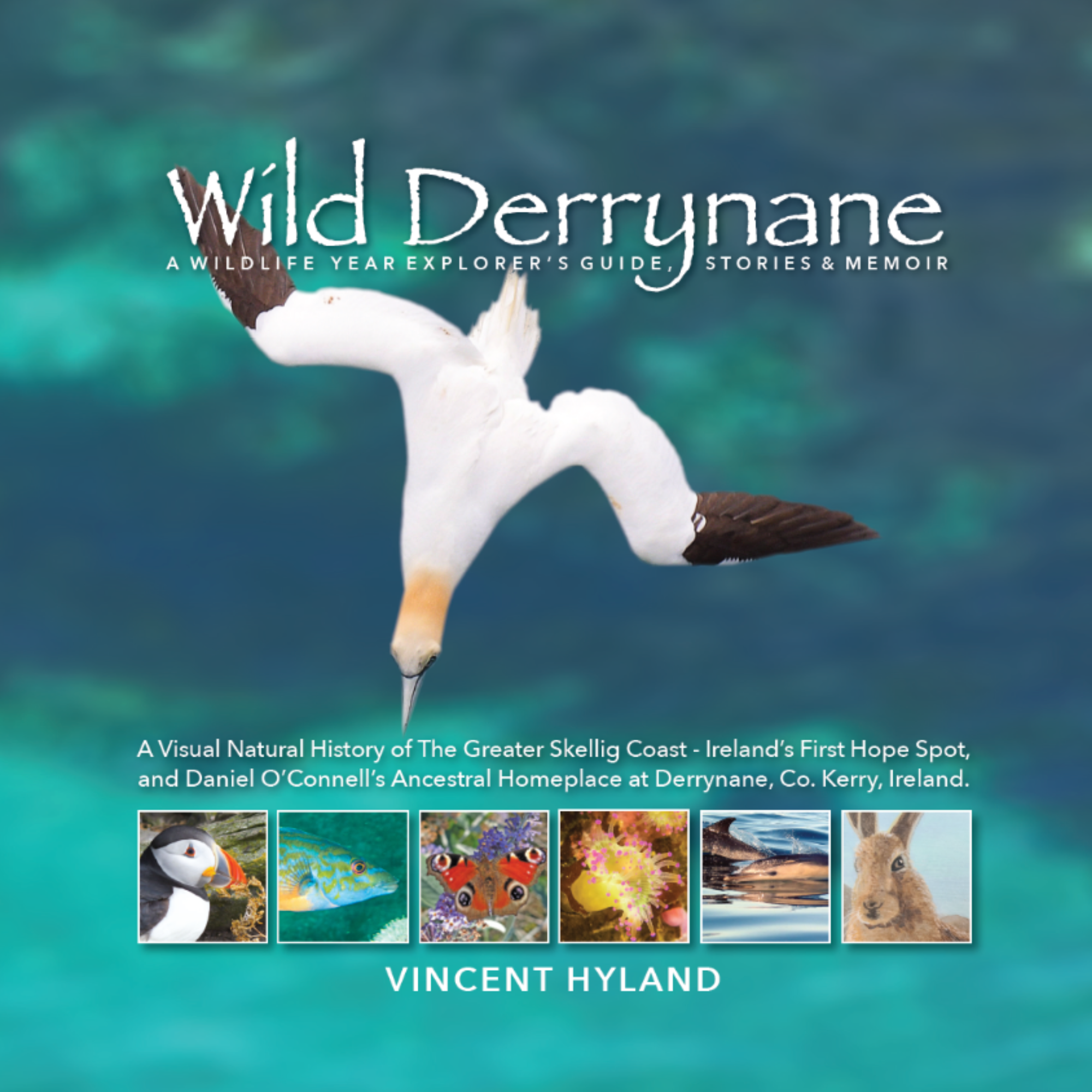 Vincent Hyland's Wild Derrynane Book - Updated Version (Hardback)